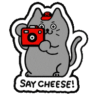 Say Cheese Cat Photography Sticker by Sandisk