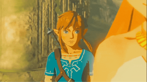 Staring The Legend Of Zelda GIF
