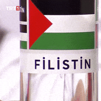 Flag Freedom GIF by TRT