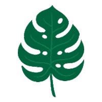 Plant Leaf Sticker by FastGrowingTrees.com