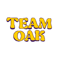 oakberryacai oak oakberry teamoak oakberryacaiwsl Sticker