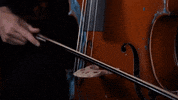 Music Video Rap GIF by Casanova Records