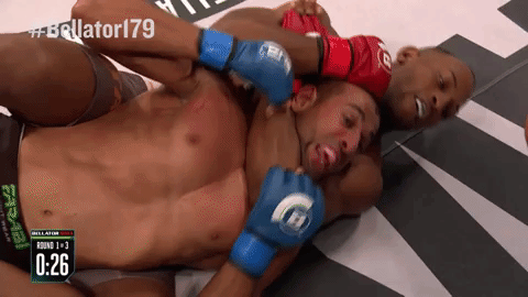 GIF by Bellator
