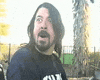 foo fighters images GIF