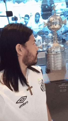 Copa Libertadores Santos GIF by Dalvan Ferraz