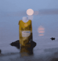 bielerwines wine bandit cabernet merlot GIF