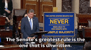 Voting Rights Filibuster GIF by GIPHY News