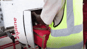 GIF by Mashable