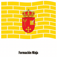 Castilla Y Leon Flag GIF by Formación Ninja
