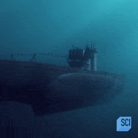 Sea Omg GIF by Discovery