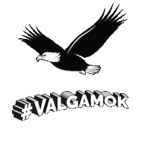 peter falktoft election Sticker by Hergårdetgodt