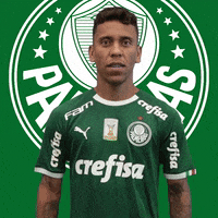 Palmeiras love heart soccer amor GIF