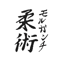 Martial Arts Fight Sticker by Morganti Ju-Jitsu