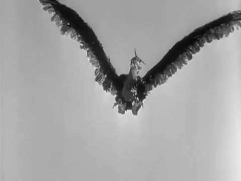 the claw GIF