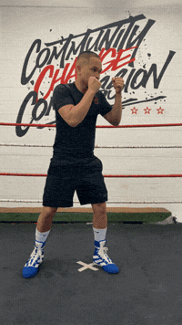 quinitboxing  GIF