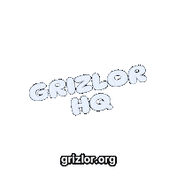 Fun Bear Sticker by grizlor