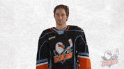 SDGullsAHL wtf nope nhl whatever GIF