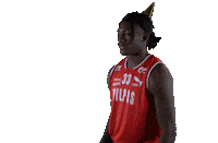 Basket_fi sports basketball hoops vikings Sticker