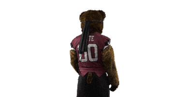 Bear Spin Sticker by Montana Grizzlies