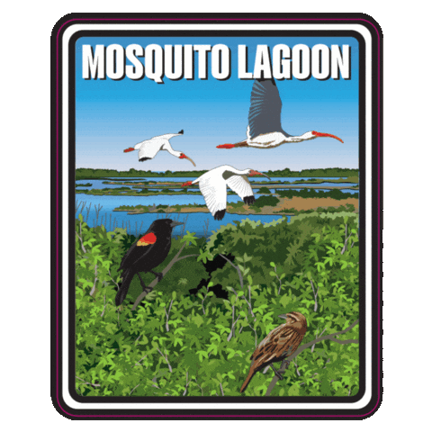 Aquatic Preserve Sticker by FLDEP