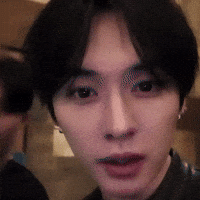 Skz Straykids GIF