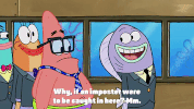 season 9 episode 13 GIF by SpongeBob SquarePants