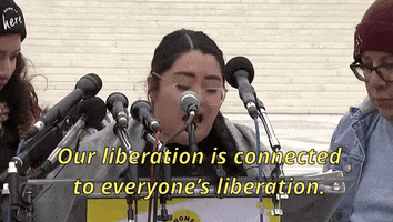 news immigration supreme court dreamers daca GIF