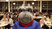 DeSalesUniversity food thanksgiving bulldog lehigh valley GIF