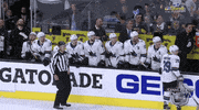 happy ice hockey GIF by NHL
