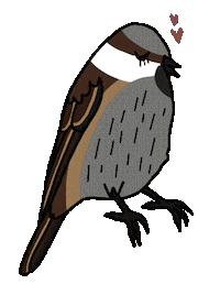 Bird Vogel Sticker