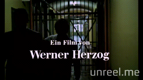 werner herzog clemens scheitz GIF by Unreel Entertainment