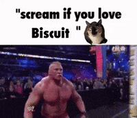 Cat Biscuit GIF
