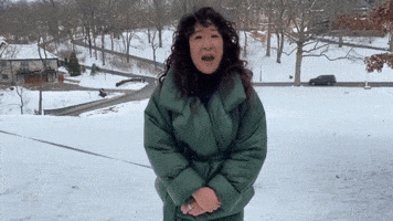 Dinosaurs in the Desert