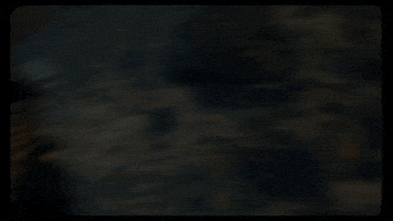 Fashion Water GIF by Aries
