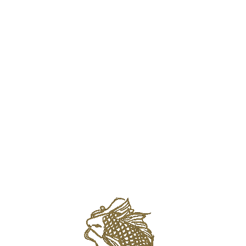 Travel Swimming Sticker