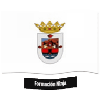 Santa Cruz De Tenerife Flag Sticker by Formación Ninja
