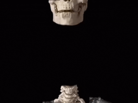 GIF by lostboy.exe