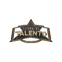 Canal Sur Talent Show Sticker by Tierra de Talento