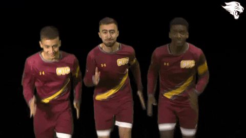 Cuc19 D3Soc GIF by CUCougars