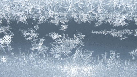 GIF by Central Coast Honda Dealers