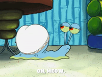 season 6 squid's visit GIF by SpongeBob SquarePants