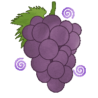 Candy Fruit Sticker by Insert Name Here