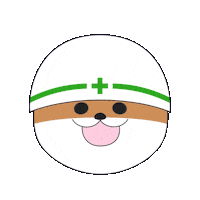 柴犬 ヘルメット Sticker