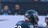 philadelphia eagles football GIF by NFL