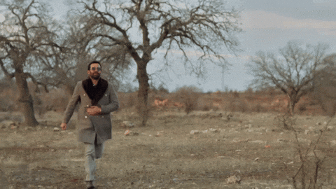 Kanal D GIF by Ay Yapım