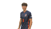 Blowingkisses Sticker by Carson-Newman Athletics