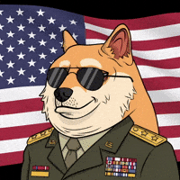 Nft Usa GIF by Doge Pound
