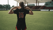 University Of Louisville Go Cards GIF by Louisville Cardinals