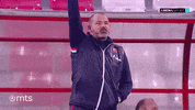 Zvezda GIF by sportmts