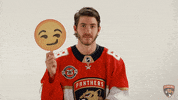 florida panthers hockey GIF